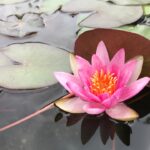 沖ヨガとは【それぞれの人に、それぞれのヨガを】