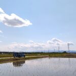 2022年版!小満の期間の過ごし方【小満とはどんな日?時期はいつ?とるべき食材・食べ物は?】