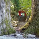 人生が思い通りにならないと思ったら【人生はあなたが創るもの】~今を大切に生きる意味~