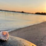 【Smjukの心の科学】について