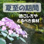 2022年版!夏至の期間の過ごし方【夏至とはどんな日?時期・期間はいつ?とるべき食材・食べ物は?】
