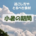 2022年版!小暑の期間の過ごし方【小暑の意味は?時期・期間はいつ?とるべき食材・食べ物は?】