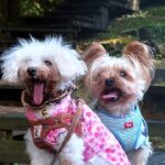 “察してほしい”そう感じた時に読む話 ~人間の特殊能力を使う時~