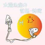 【太陽星座】魚座の性格・特徴 ~献身的な愛と繊細な心♡癒し系No.1~