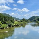 白露からの過ごし方【どんな日?時期・期間はいつ?とるべき食材・食べ物は?】