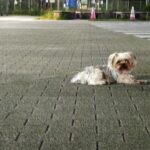 なんだか幸せになれないなと思ったときに読む話 ~その「かまってちゃん」やめ時です~