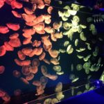 さよならに戸惑っているときに読む話 ~さよならは人生を色とりどりにするための絵の具~