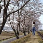 2022年版!清明の期間の過ごし方【いつ?旬の食べ物は?健康面で気を付けることは?】