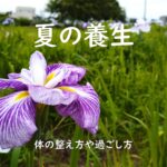 夏の養生(立夏~立秋まで) ~過ごし方、食べ物、運動、ヨガ、季節ならではの不調の整え方~